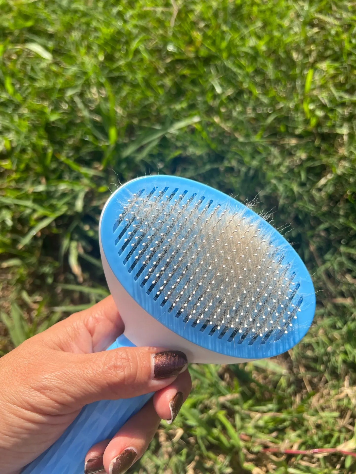 pet brush