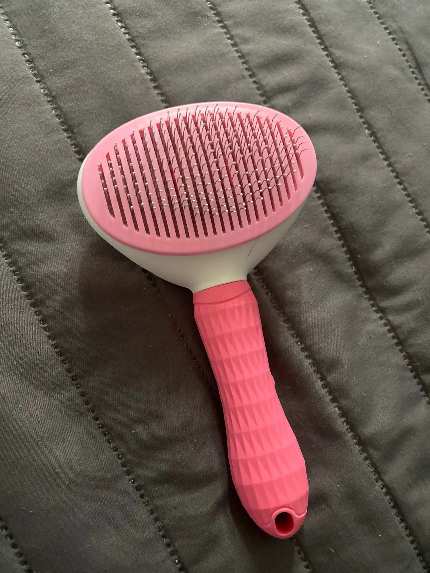 pet brush